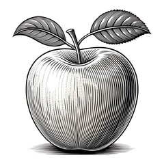 black and white apple line art vector