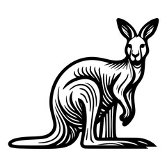 kangaroo vector illustration