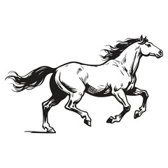 horse vector illustration