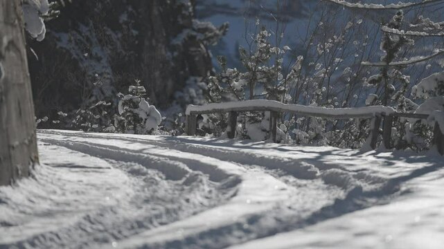 A snowy road winds uphill through a forest with visible tire tracks marking the fresh winter surface. Parallax video.