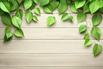 Fresh green leaves on light beige wooden planks