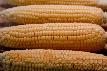Organic Sweet Corn