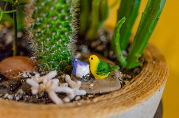 Two tiny colorful birds rest beside a cactus in a cozy potted garden. Miniature birds on stone in cactus pot, close-up, soft indoor light, warm and playful still life scene.