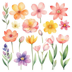 Collection of watercolor spring flowers transparent background