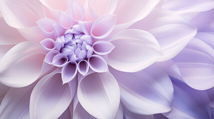 Obraz premium A close-up shot of a large flower petal featuring a soft lavender gradient, emphasizing delicate beauty.