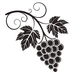 vector illustration of grapes