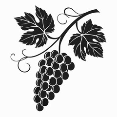 Obraz premium bunch of grapes