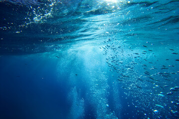 Dynamic underwater scene with sunlight filtering from above