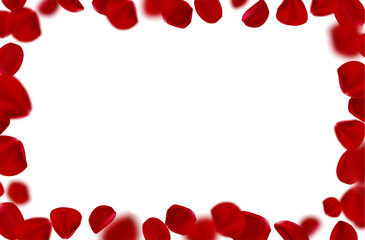 3d realistic vector illustration. Red rose falling petals with blurr frame border on white background. Beauty and cosmetic background presentation.