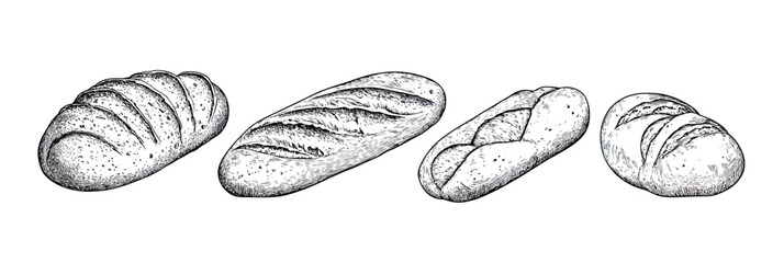 Hand drawn detailed sketch bread loaves set including ciabatta baguette sourdough and buns vintage bakery products vector illustration in monochrome style
