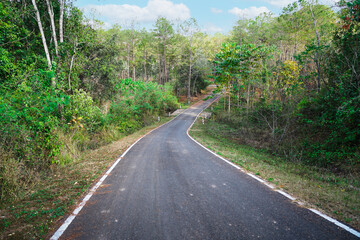 Empty curved concrete road and path way through a green nature park with trees in the forest, view at Nam Nao National Park, Phetchabun, Thailand.