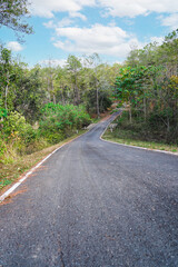 Empty curved concrete road and path way through a green nature park with trees in the forest, view at Nam Nao National Park, Phetchabun, Thailand. Vertical.