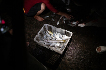 newly harvested fish