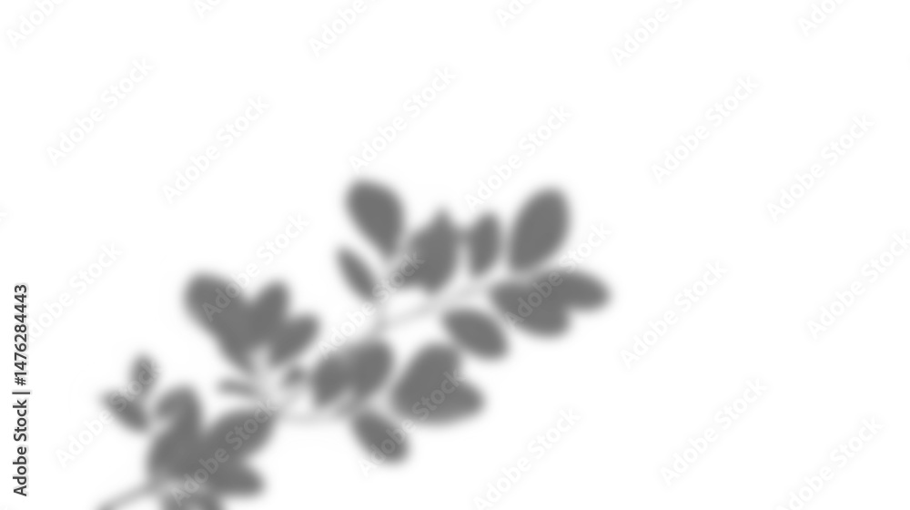 Poster Leaf shadow overlay effect mockup with blurred leaves and foliage branch creating natural artistic look for design backgrounds or presentation templates with soft light