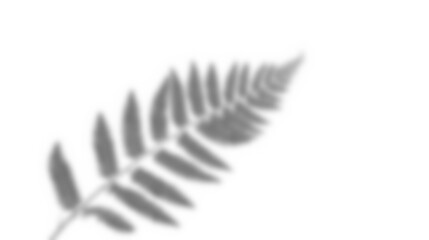 Leaf shadow overlay effect mockup with blurred leaves and foliage branch creating soft natural look for design backgrounds and creative presentations