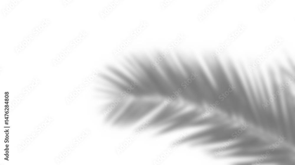 Leinwandbilder leaf shadow overlay effect mockup with blurred leaves and foliage branch creating soft natural look 