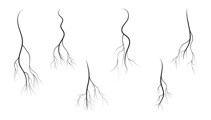Set of human veins and arteries, capillaries. tree roots. shrub roots. parts of plant. thunderstorm. vector illustration