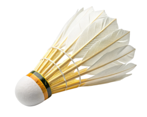 Badminton Shuttlecock with White Feathers and Colorful Base on Transparent Background