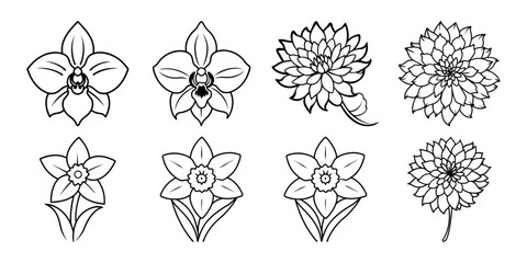 Flower drawing mono line. Hibiscus,  Jasmine,  Orchid, Jasmine, Faffodil, chrysanthemum  On white background
