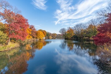 Fototapeta premium Autumnal park reflection on a calm lake