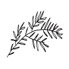 hand-drawn vector illustration of a botanical twig in minimalist black line art style. organic drawing works well as a decorative element in both digital and print formats.