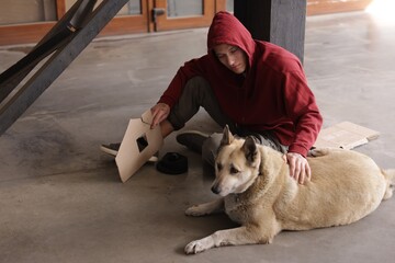 Homeless man with cardboard house figure and dog on concrete floor outdoors