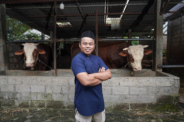Portrait of excited Asian muslim farmer standing in front of limousine cow in the farm, making hold...