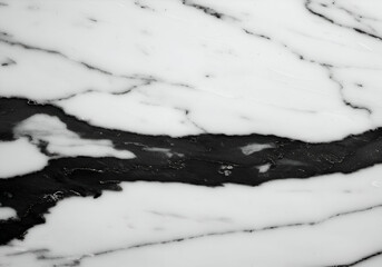 High Contrast Elegant Black Marble with Bold Veins