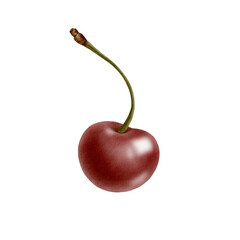 Whole ripe cherry with stem isolated on white. Juicy watercolor fruit illustration with natural stem detail for fresh food packaging, healthy lifestyle branding or summer designs