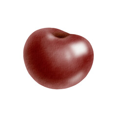 Juicy ripe cherry isolated on white. Vibrant watercolor fruit illustration with glossy texture for food packaging, summer designs or healthy lifestyle branding