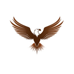 Obraz premium Majestic bird silhouette embodying freedom and power against a pristine backdrop