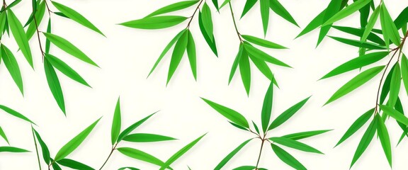 Fototapeta premium Stylized green bamboo leaves on a pale background, ample empty space, green, empty space