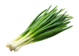 green onion leaf clipart png image on transparent background