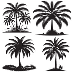 Palm Tree Silhouette