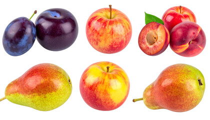 Arrangement of garden fruits including apples, pears and plums isolated on transparent background