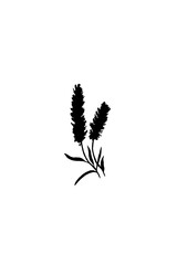 Hand drawn illustration black silhouette of grass with spikelets ears on a white background. Minimalistic botanical motif. Ideal for clothing prints, emblems, logos.