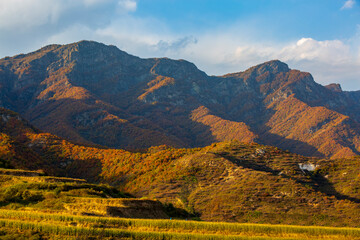 Lanxian Bailongshan Mount autumn landscape in sunset, Shanxi, China
