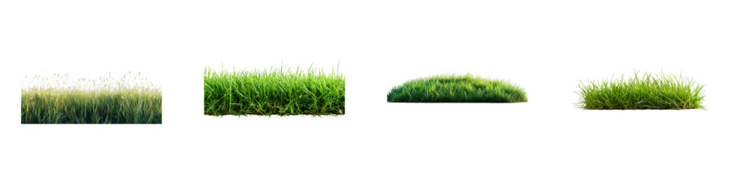 Fototapeta premium Assorted meadow grass elements, natural ground covers, cut out transparent