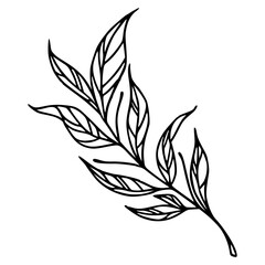 vine leaves line art drawing