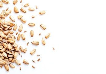 Scattered sunflower seeds on white background.  Small, light brown seeds are dispersed in a loose cluster, creating a textural design against a stark white backdrop