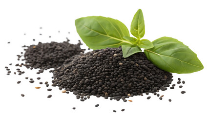 Basil seeds isolated on transparent background 