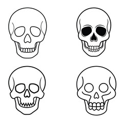 Fototapeta premium human skull vector illustration