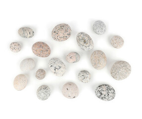 Sea washed oval pebbles isolated on white background. Arrangement of smooth round stones.