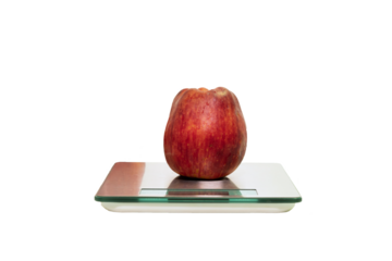 food control in the food industry