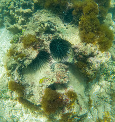 C:\DCIM\100GOPRO\GOPR1398.GPR