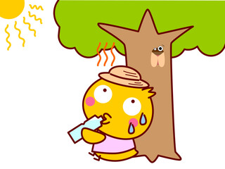 暑くて木陰で水を飲むひよこ