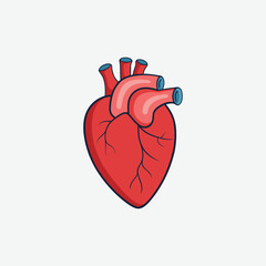 Discover a high-quality human heart icon in vector format. Flat design with a clean white background, perfect for medical, health, and anatomy projects.