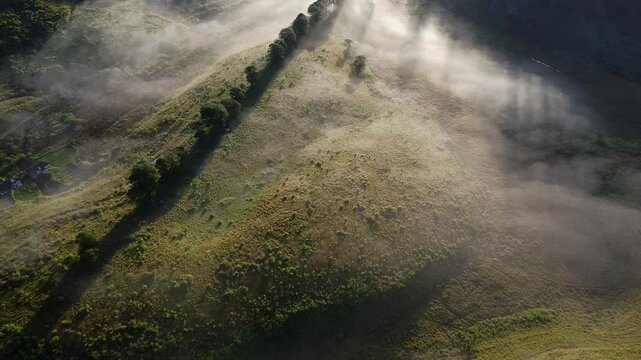 Aerial drone view captured during golden hour, revealing a mist-covered landscape with lush green trees below &mdash; a serene and atmospheric scene from above. Haritha Kanda