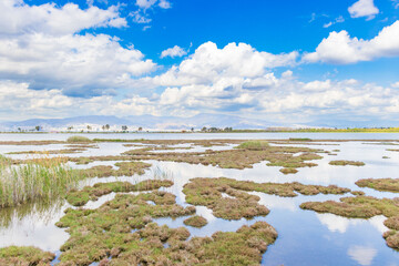 Izmir Wildlife Park, called inceralti Kent ormanli, is a large and beautiful park area with flamingos