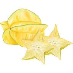 Fototapeta premium Watercolor Illustration of Starfruit